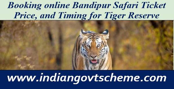 bandipur tiger reserve safari price